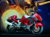 motorbikes_029.jpg (142584 bytes)